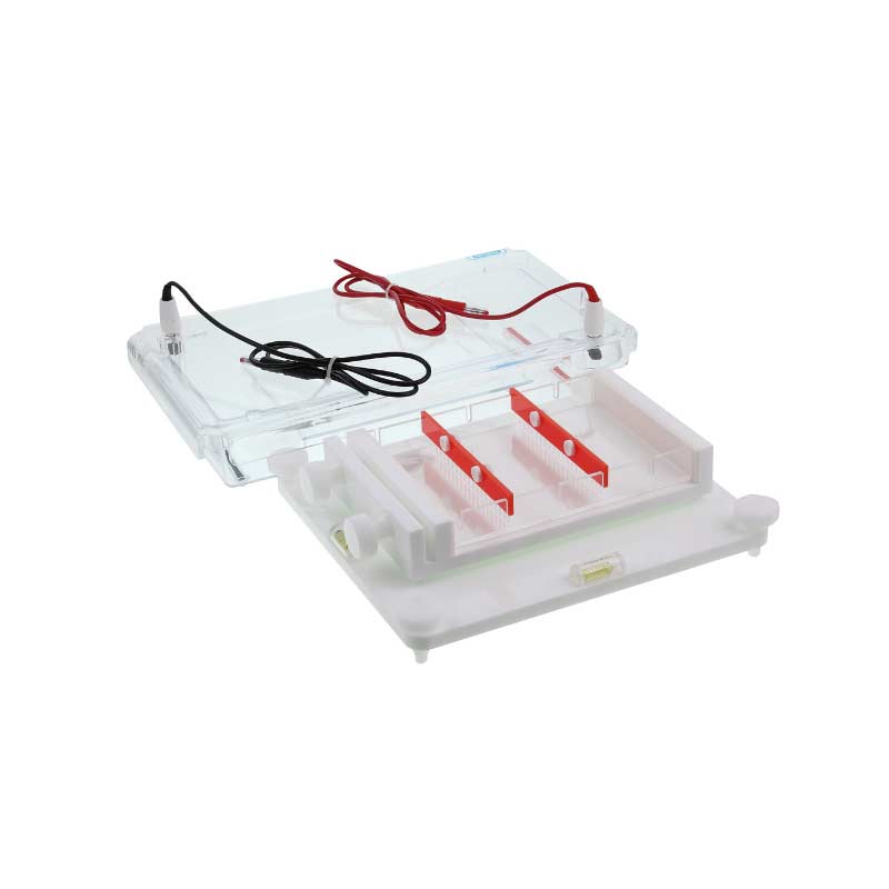 Камера для горизонтального электрофореза SE-2и 