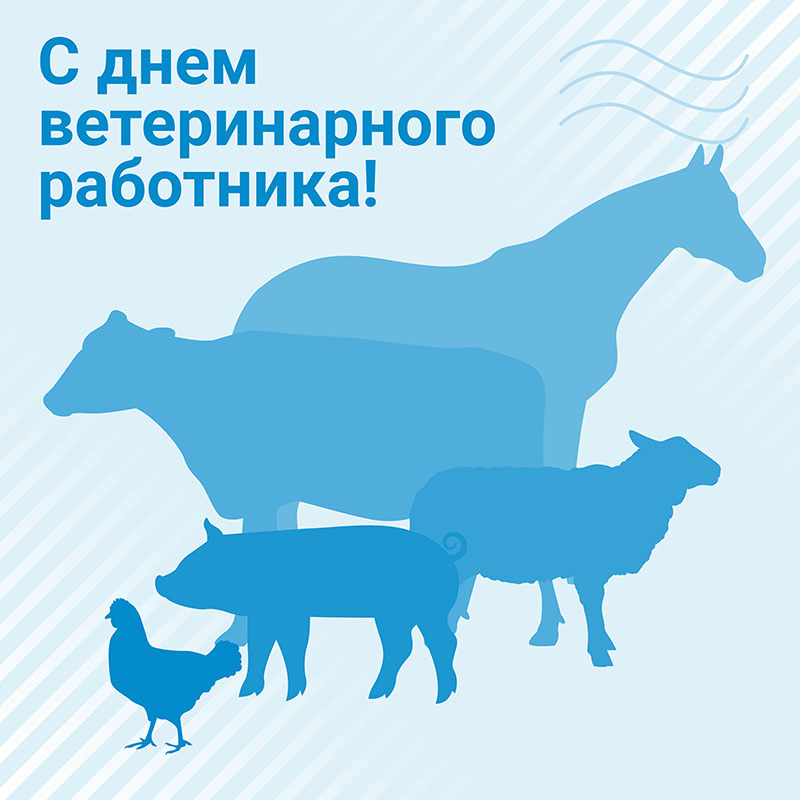 31 августа – День ветеринарного работника