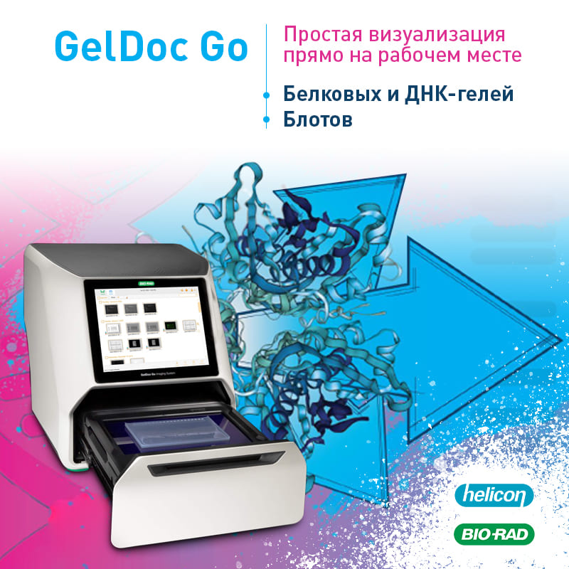 GelDoc GO!