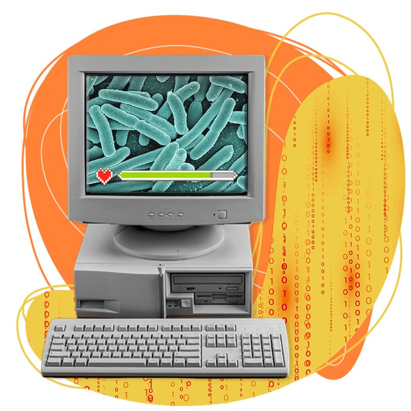От практики к теории: новая математическая модель репликации E. Coli