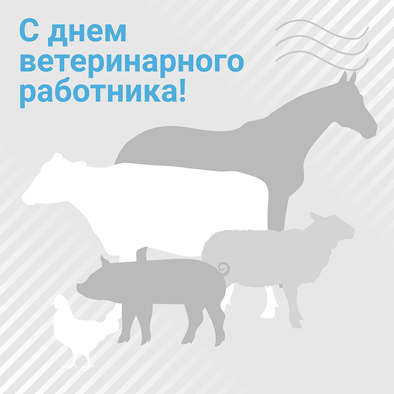 31 августа – День ветеринарного работника