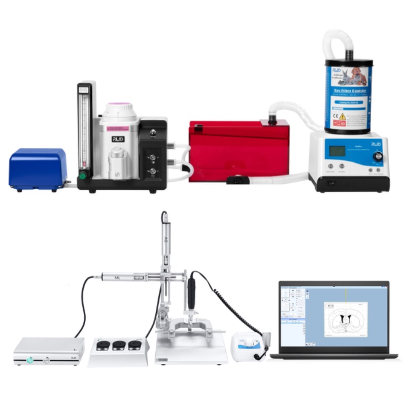 Система анестезии со стереотаксисом